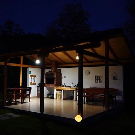 Guest House Carpathia Viseu de Sus Ngoại thất bức ảnh