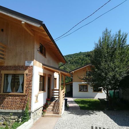 Guest House Carpathia Viseu de Sus Ngoại thất bức ảnh