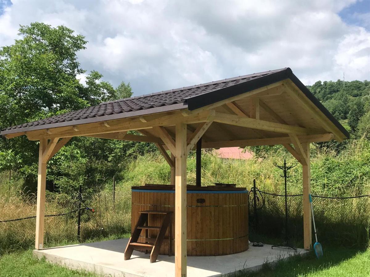 Guest House Carpathia Viseu de Sus Ngoại thất bức ảnh