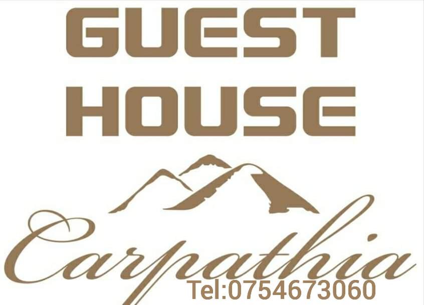 Guest House Carpathia Viseu de Sus Ngoại thất bức ảnh
