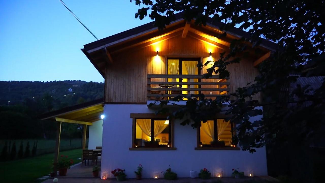 Guest House Carpathia Viseu de Sus Ngoại thất bức ảnh