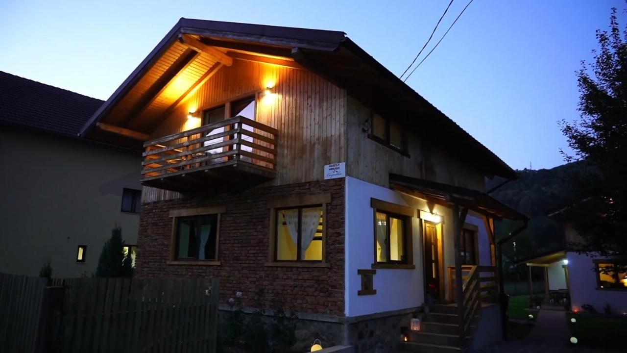 Guest House Carpathia Viseu de Sus Ngoại thất bức ảnh