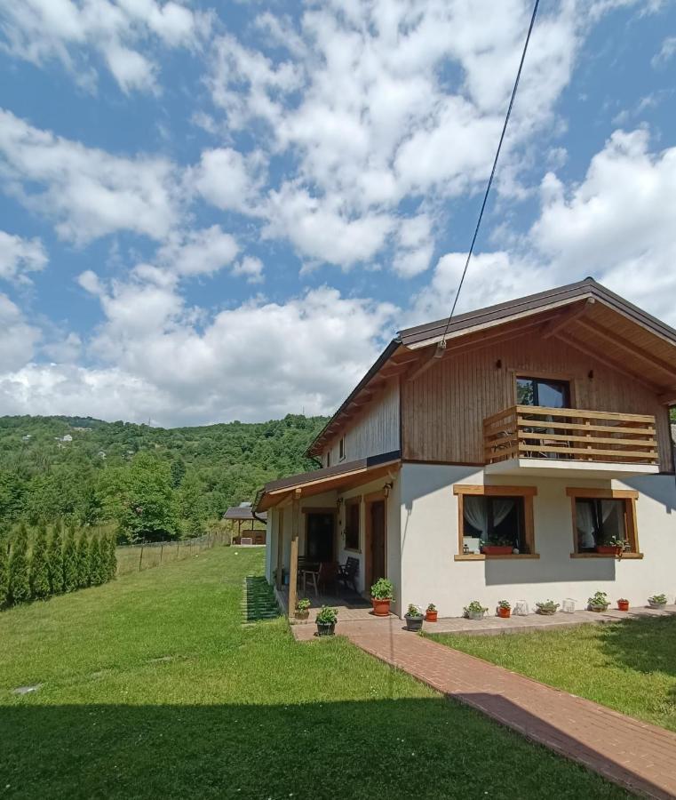 Guest House Carpathia Viseu de Sus Ngoại thất bức ảnh