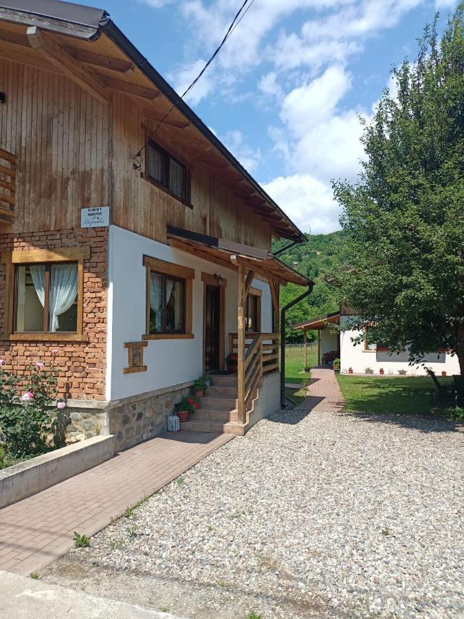 Guest House Carpathia Viseu de Sus Ngoại thất bức ảnh