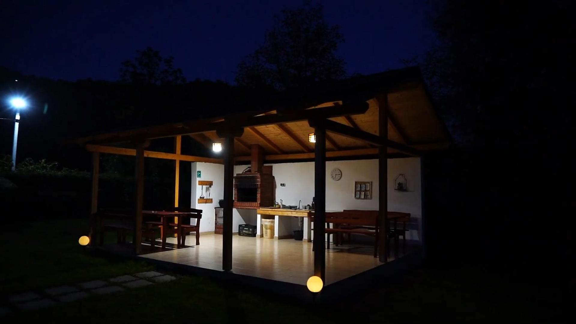 Guest House Carpathia Viseu de Sus Ngoại thất bức ảnh