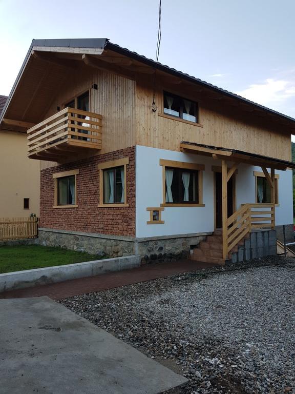 Guest House Carpathia Viseu de Sus Ngoại thất bức ảnh
