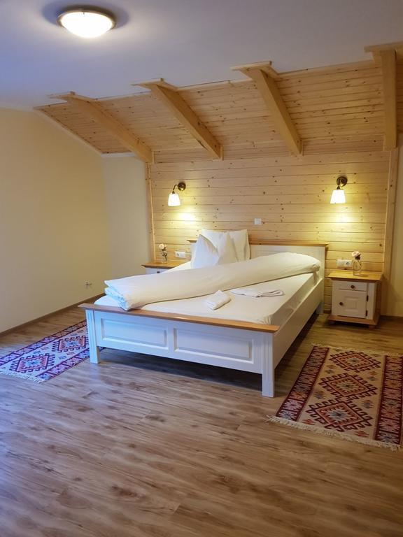 Guest House Carpathia Viseu de Sus Ngoại thất bức ảnh