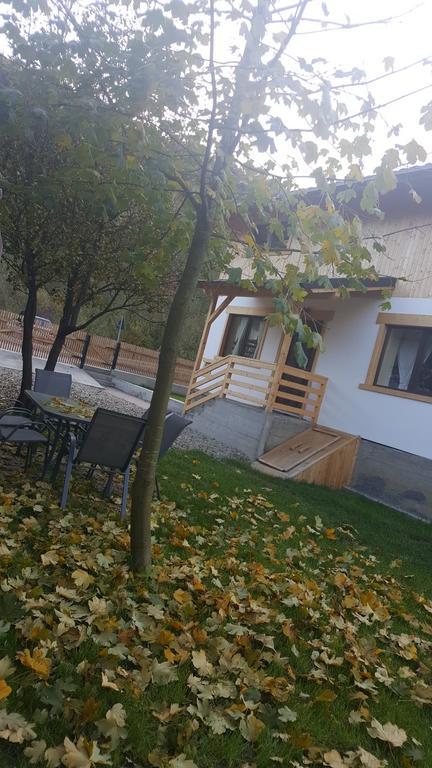 Guest House Carpathia Viseu de Sus Ngoại thất bức ảnh
