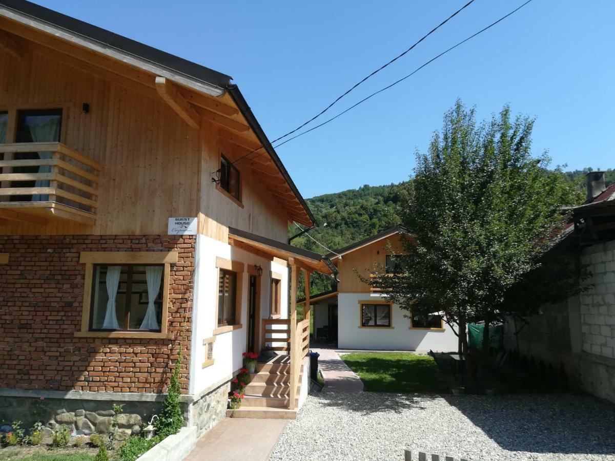 Guest House Carpathia Viseu de Sus Ngoại thất bức ảnh