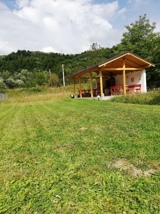 Guest House Carpathia Viseu de Sus Ngoại thất bức ảnh